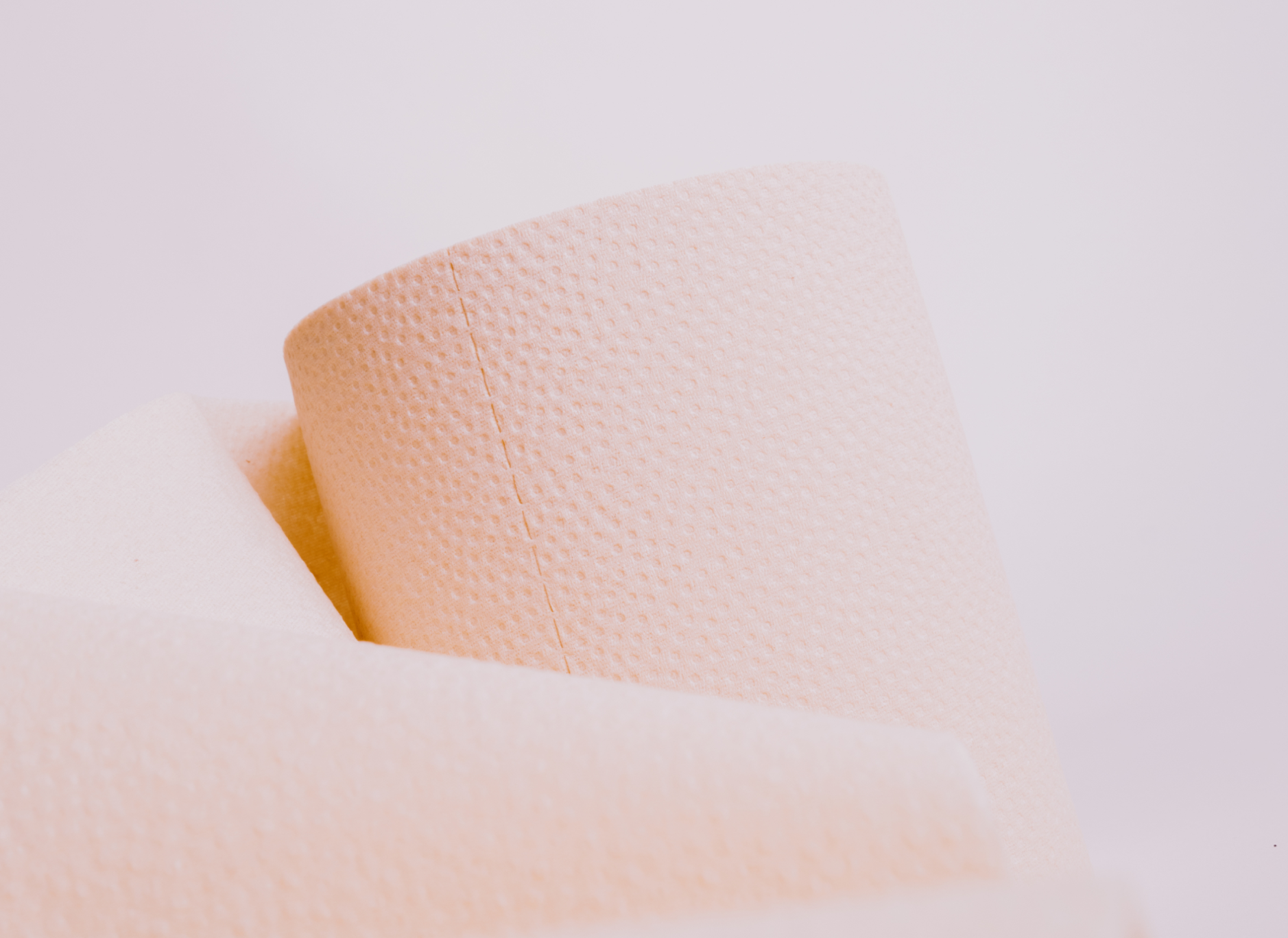 PlantPaper - Thumbnail 4
