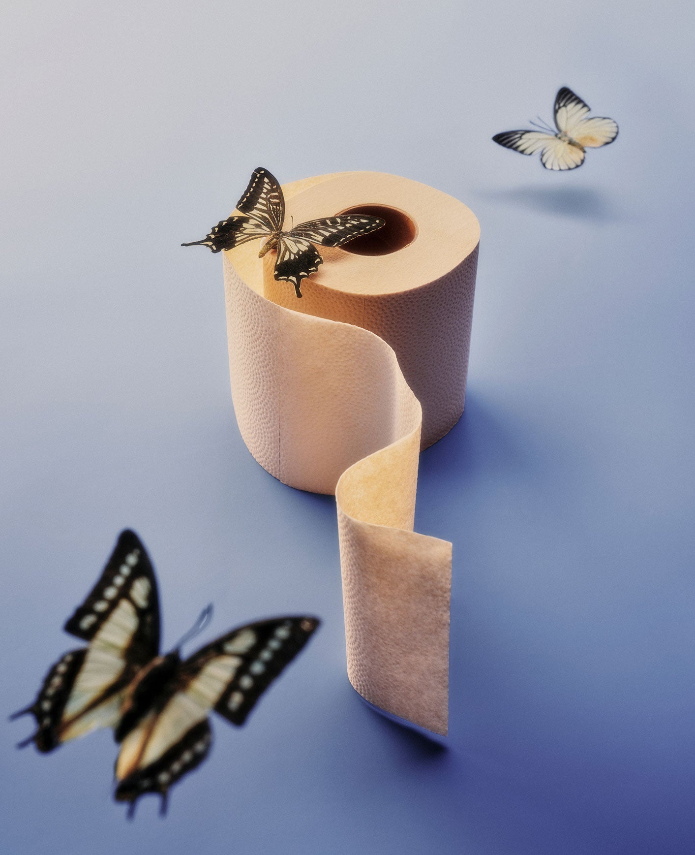 PlantPaper Bamboo Toilet Paper - Thumbnail 4