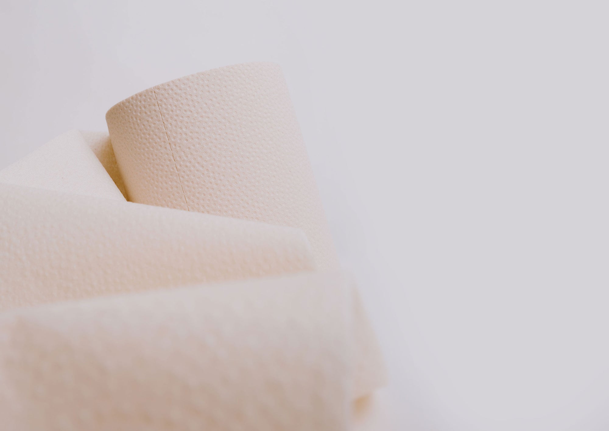 Bamboo Toilet Paper: Bleach Free & Eco-Friendly