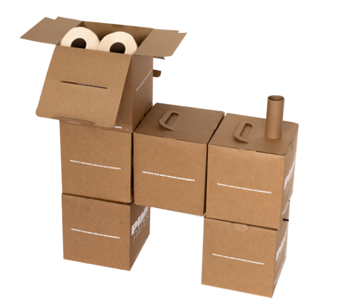 Angled view of stacked PlantPaper 100 percent recycled chipboard boxes showing two toilet paper rolls on a white background